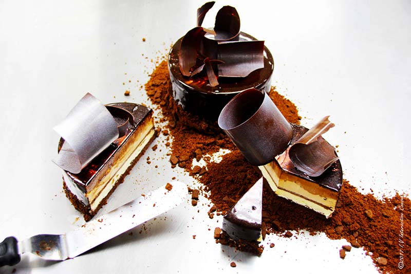 chocolate-cake-vincent-catala