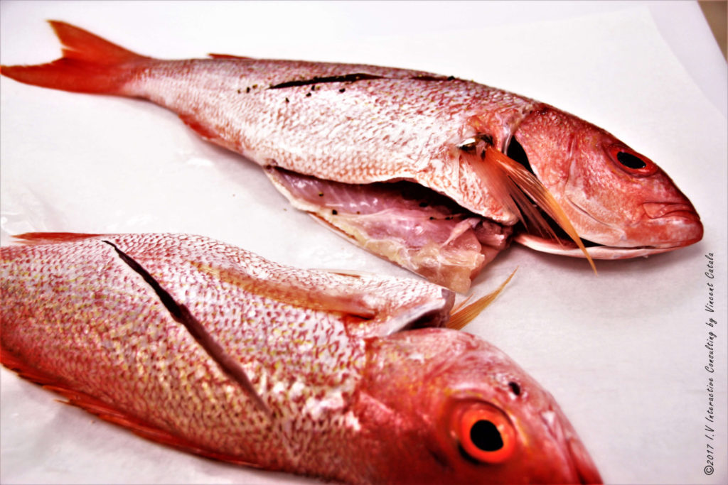 fish-vincent-catala